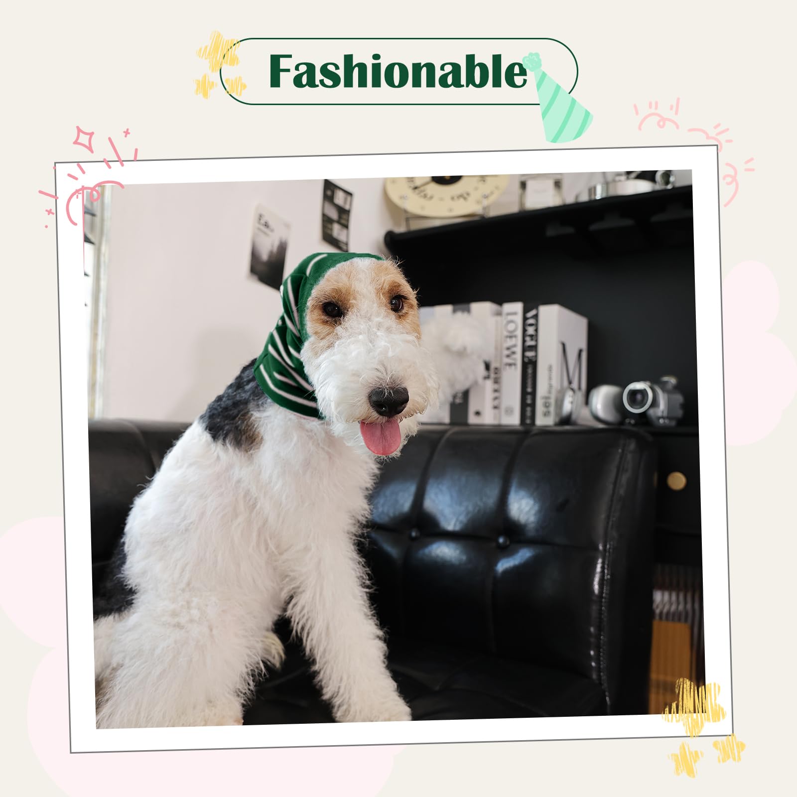 Nanaki dog wearing calming hoodie highlights stress-relief potential in noisy environments.