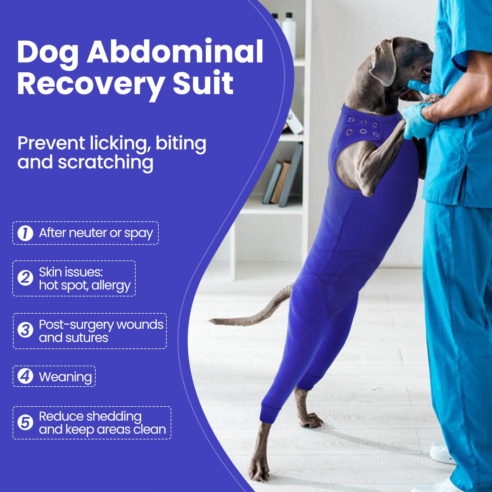Nanaki Dog Wound Care Shirt back zipper view highlights easy on off for quick changes.