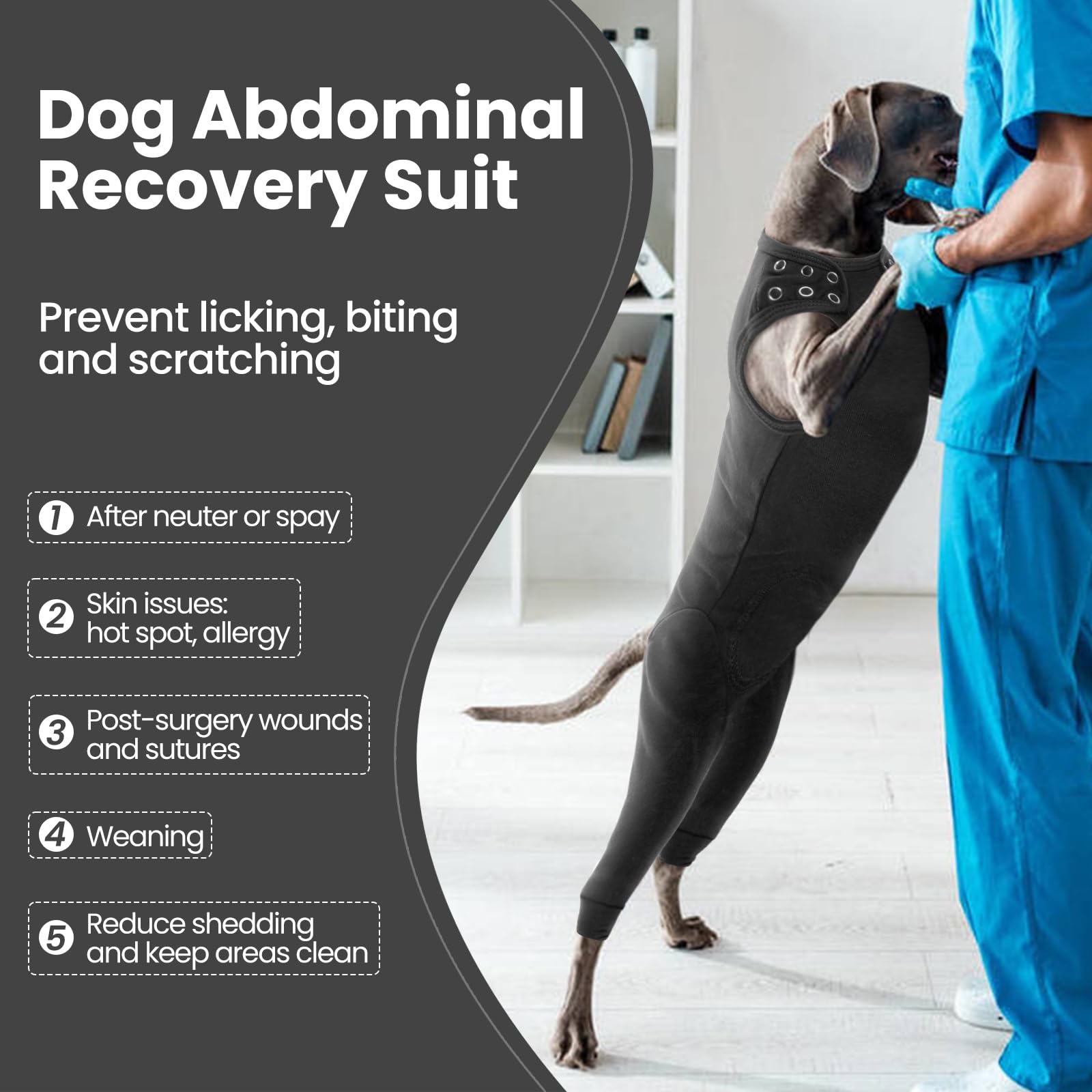 Nanaki dog wound care shirt rear leg sleeve helps prevent licking and protects wounds.