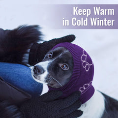 Nanaki hematoma ear wrap on a dog's ear supports recovery protection.