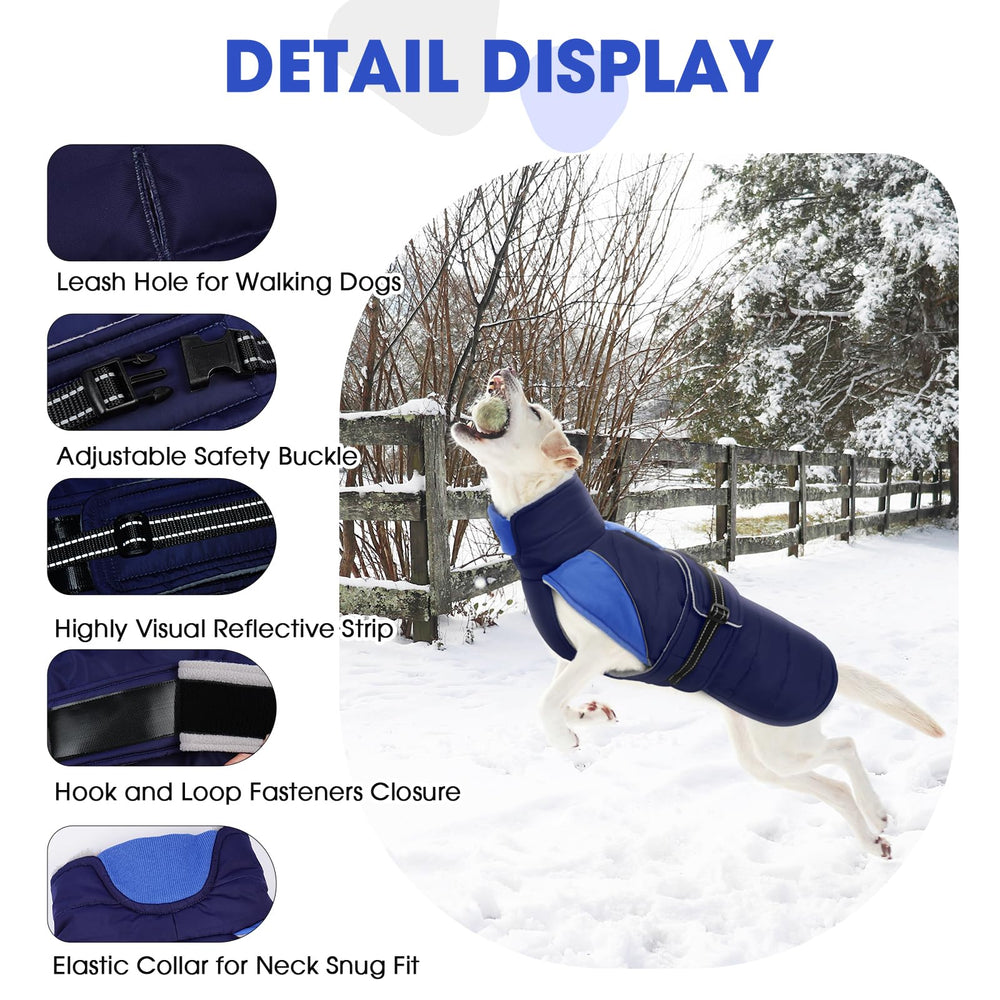 Nanaki six-size range coat in blue fits Chihuahuas to German Shepherds.