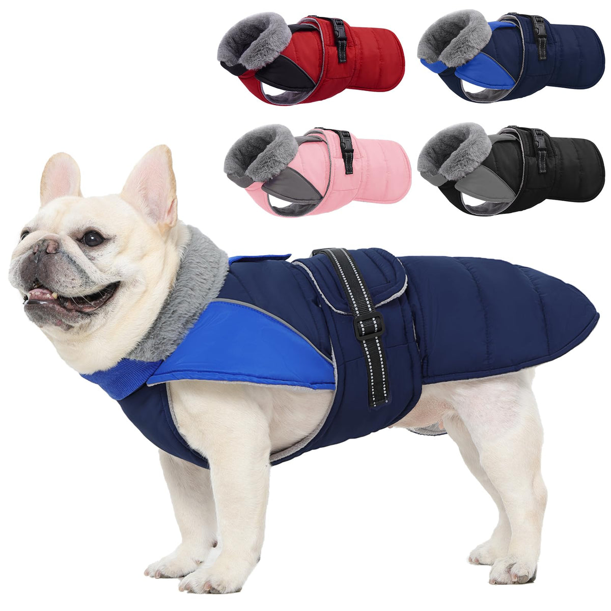 Nanaki small dog coat in blue showing winter waterproof fabric for outdoor protection.