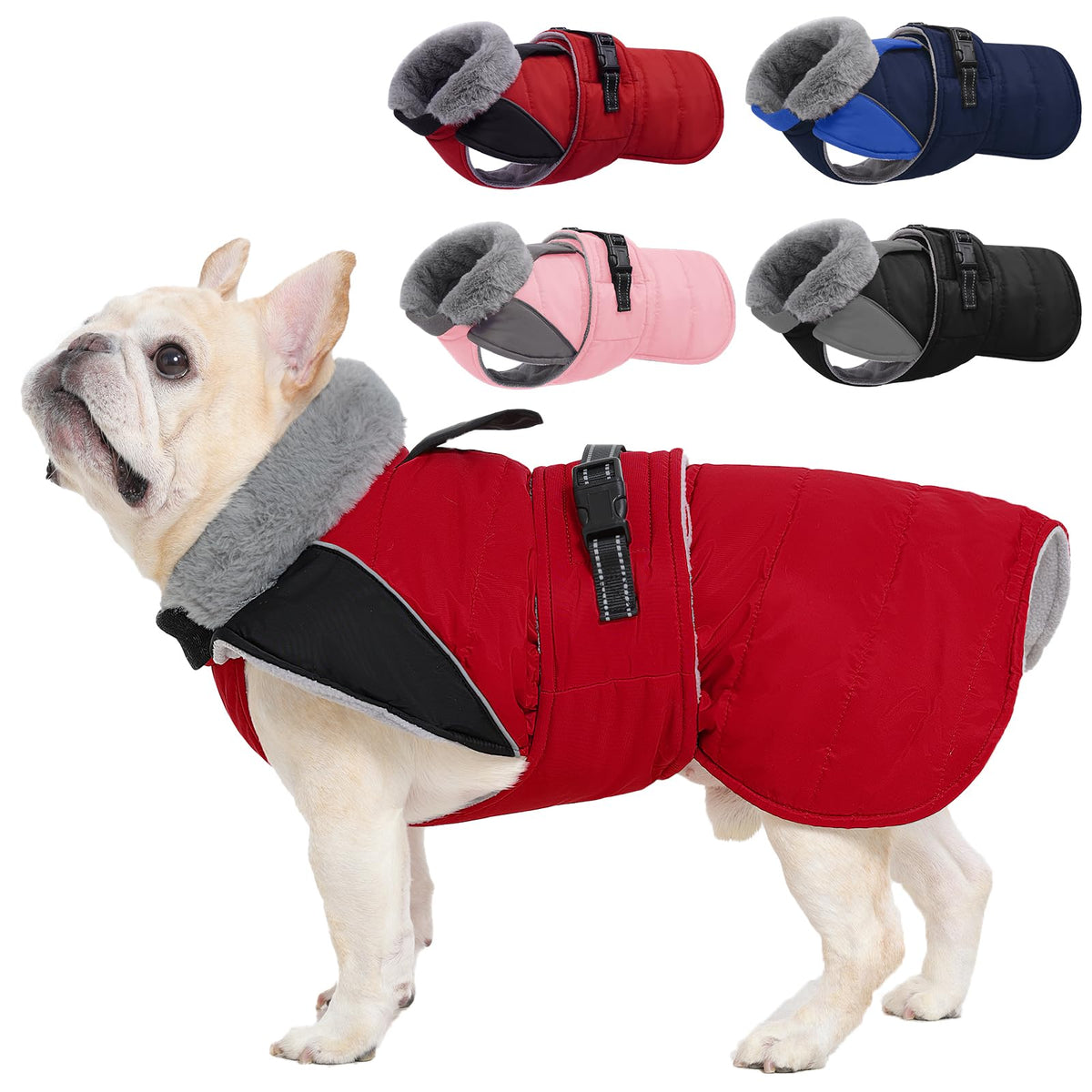 Nanaki small dog coat in red with waterproof outer layer and plush fleece lining for cold days.