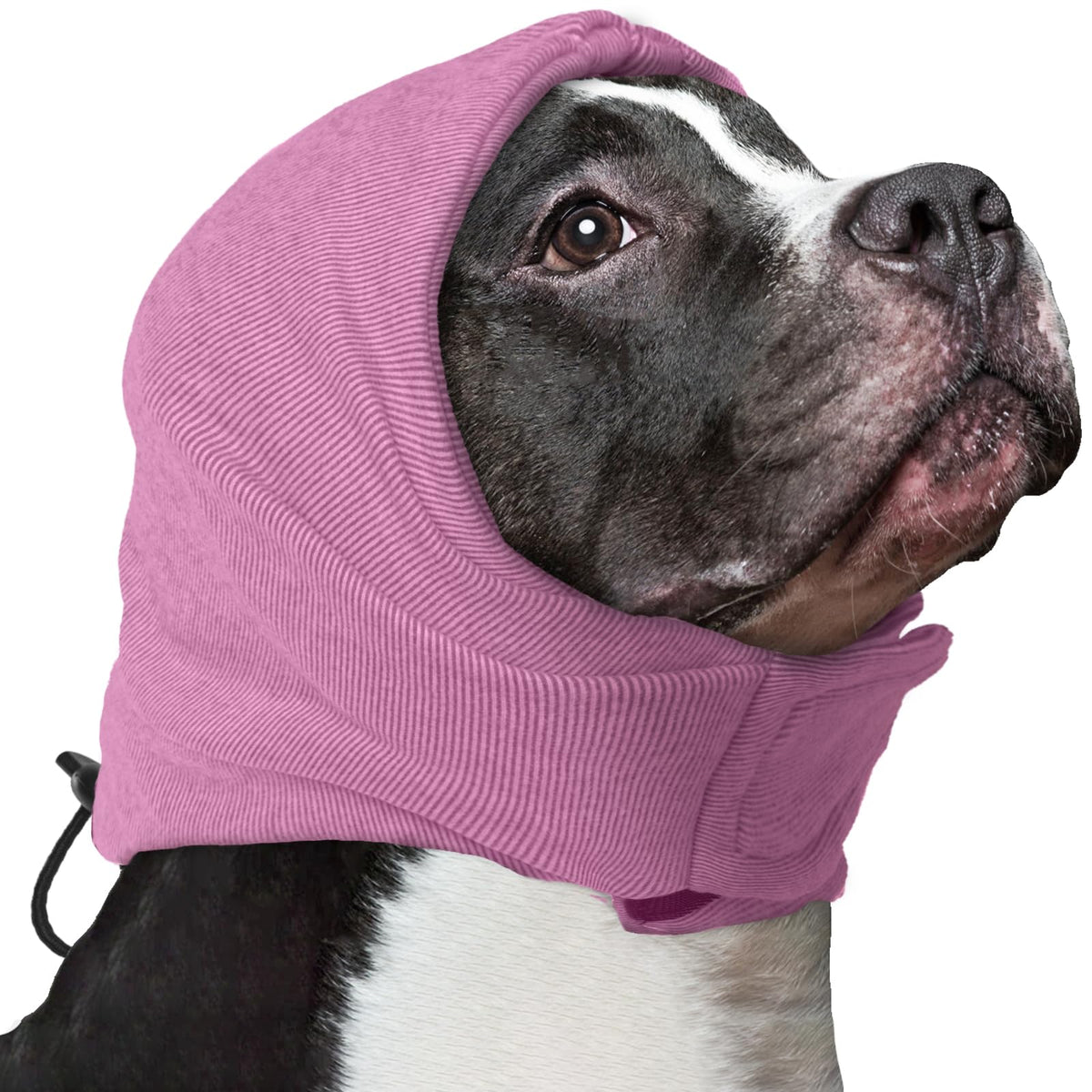 Nanaki soft dog calming hoodie ear wrap on a dog enhances comfort during loud events.