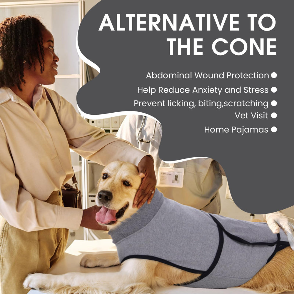 Nanaki spay/neuter recovery suit provides full coverage to protect wounds