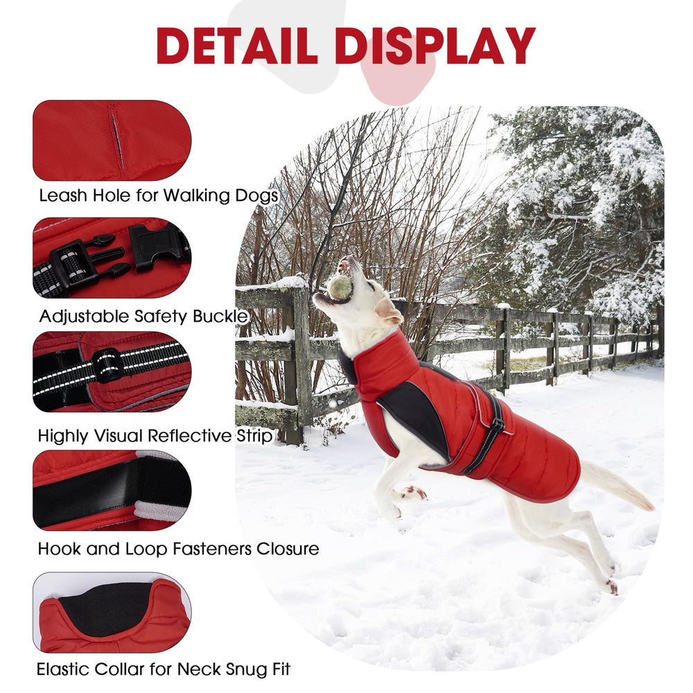 Nanaki warm dog coat red walking on snow demonstrates winter-ready protection.