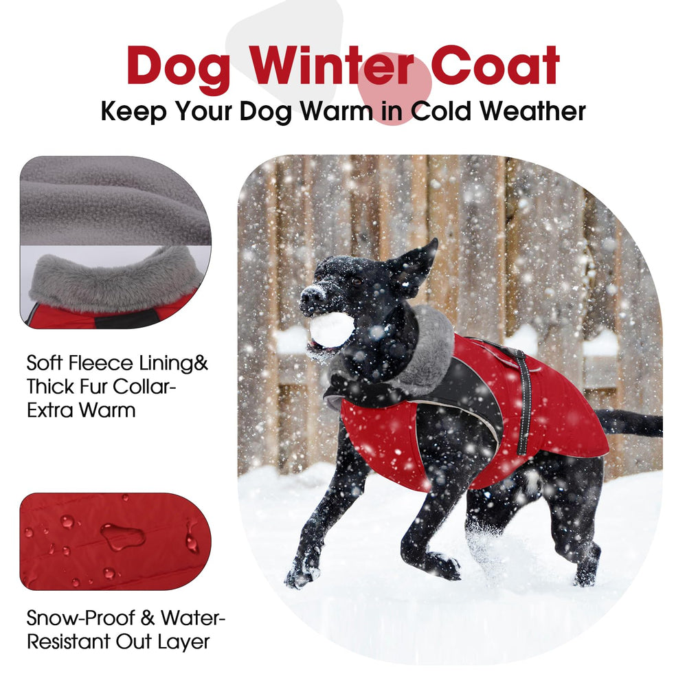 Nanaki dog jacket features a furry collar for cozy warmth during outdoor walks.