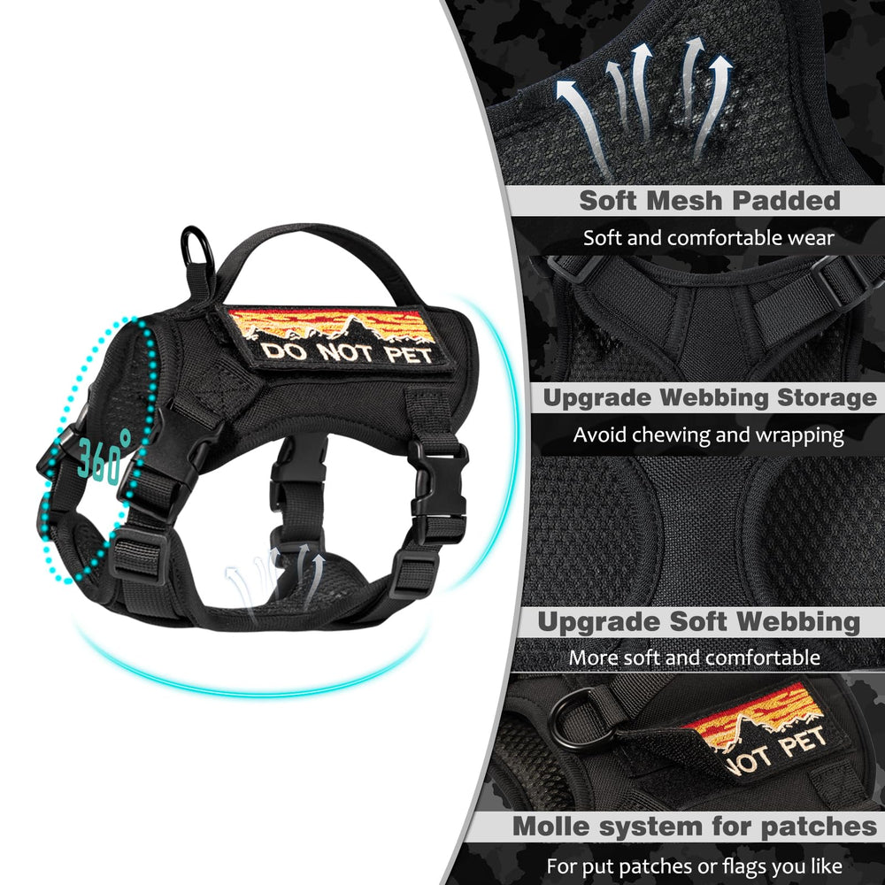 Nanappice large-cat friendly design supports big breeds during walks