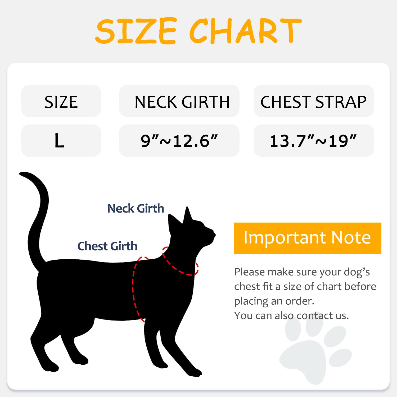 Nanappice large cat wearing harness during walk showing secure comfort and freedom of movement.