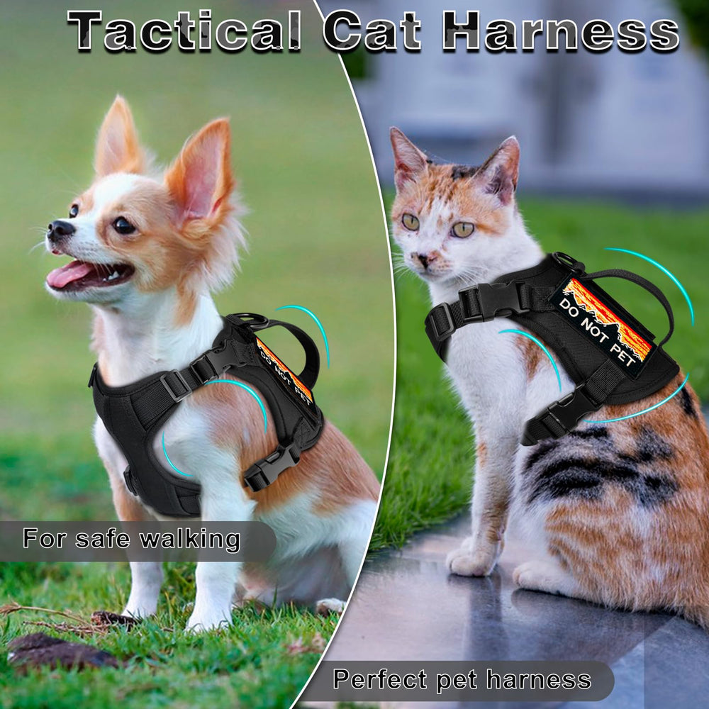 Nanappice MOLLE patches on harness for customizable patches