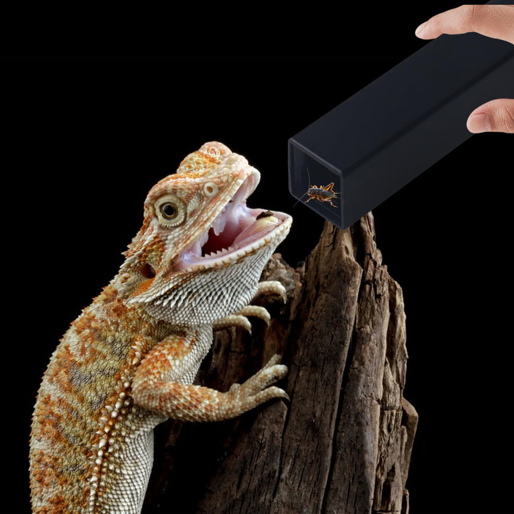 NANEEZOO Cricket Keeper water-dish provides convenient reptile hydration