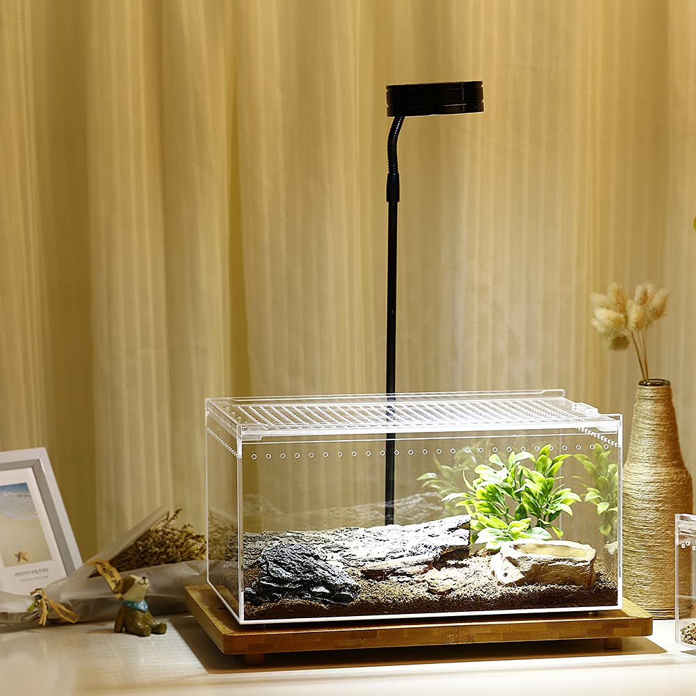 NANEEZOO Magnetic Acrylic Large Enclosure ventilation holes emphasize airflow