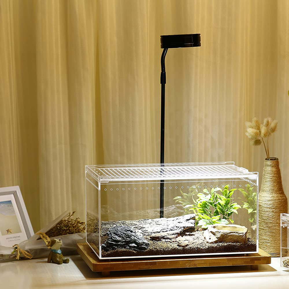 NANEEZOO Magnetic Acrylic Large Enclosure ventilation holes emphasize airflow