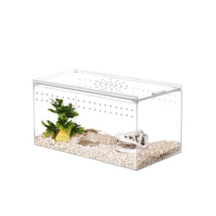 NANEEZOO magnetic terrarium front view offers crystal-clear visibility for daily observation