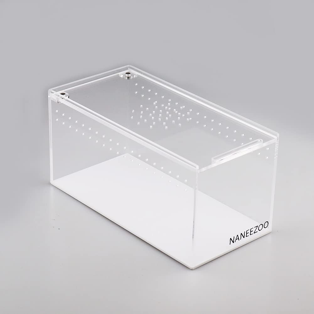 NANEEZOO terrarium side view shows slim profile for compact setups