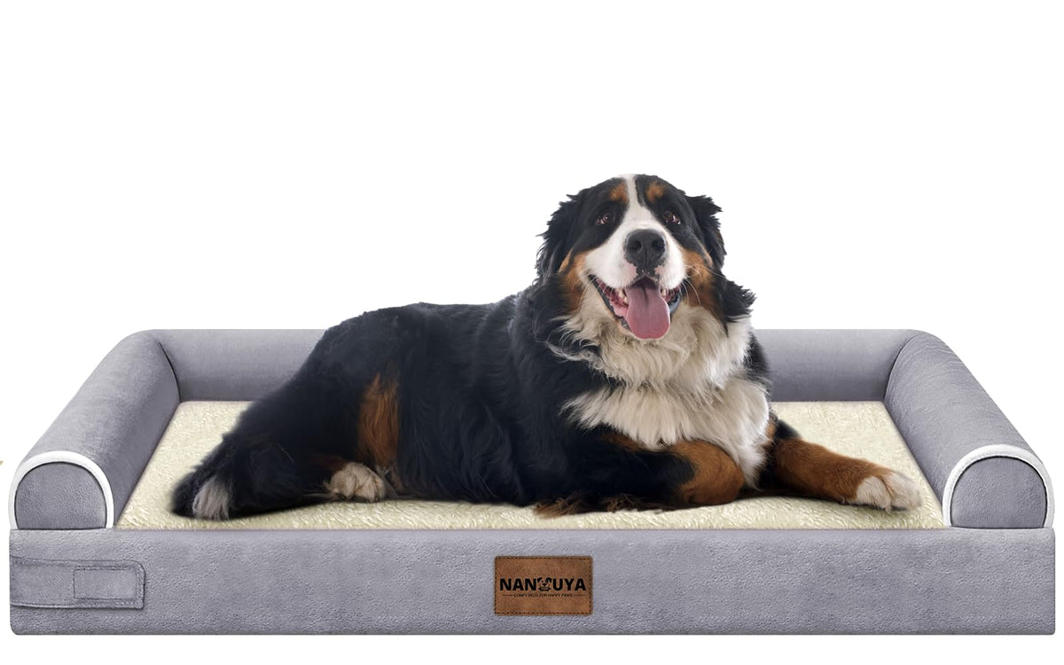 NANUYA large dog bed with egg crate foam setup provides supportive rest.