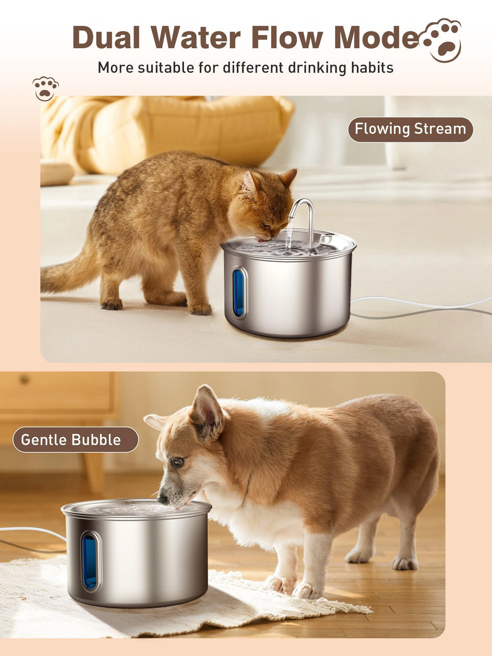 Nasebila streaming-water design entices cats to drink daily