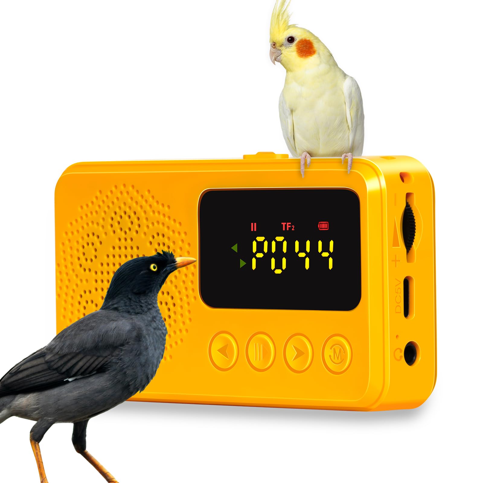 NASIDE Parrot Learning Machine interactive-trainer shows cognitive enrichment and bonding.