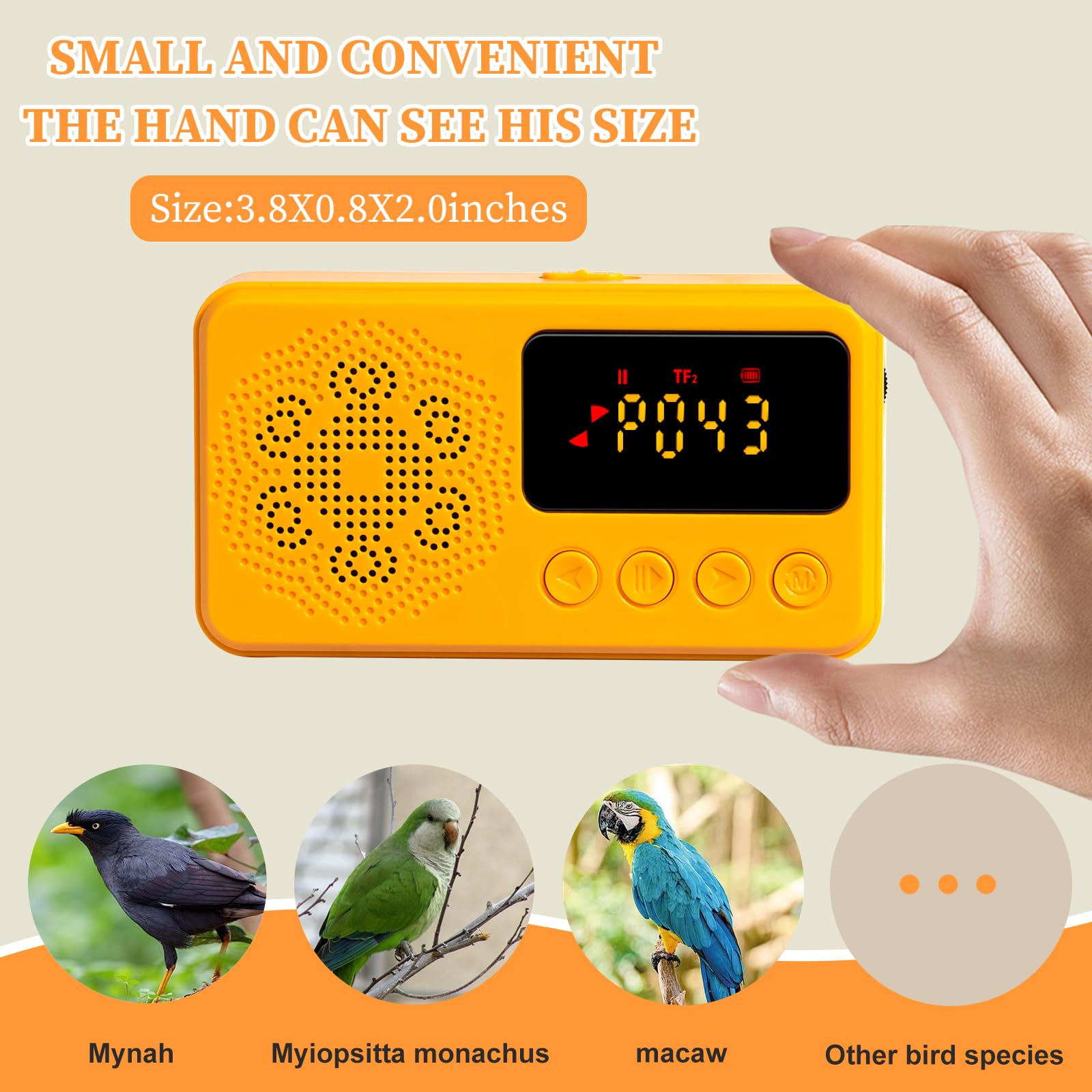 NASIDE Parrot Learning Machine whistle-mode highlights beginner whistle practice for vocal development.