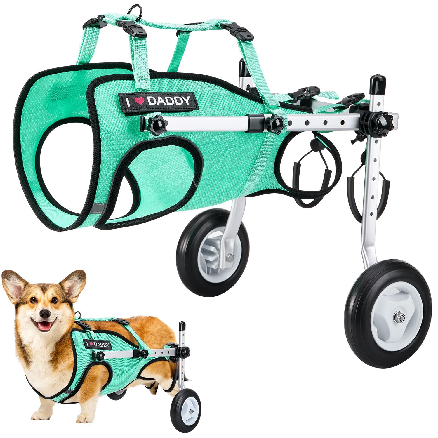 Nasjac dog wheelchair back-legs design aids mobility during daily strolls.
