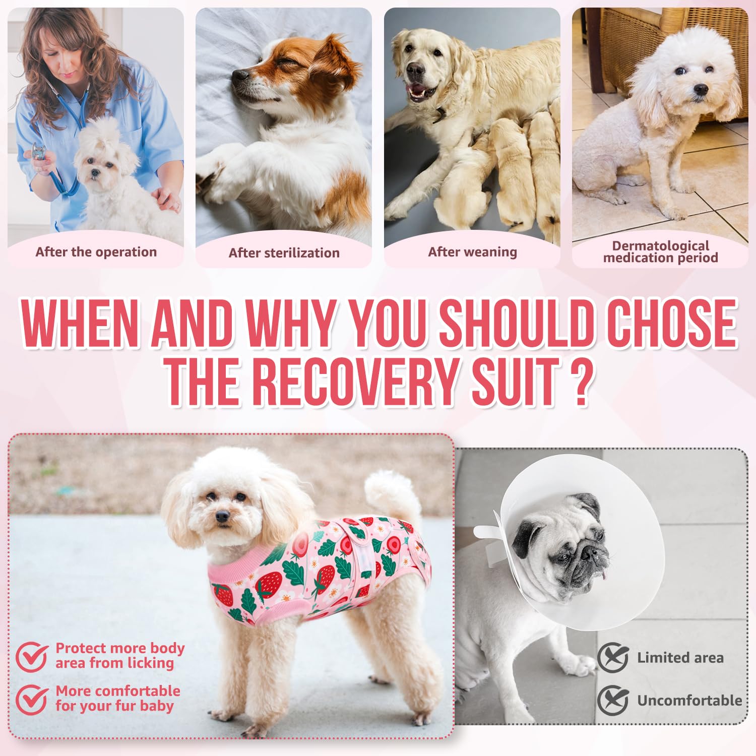 Nasjac Recovery Suit serves as cone-alternative to discourage licking while maintaining comfort.