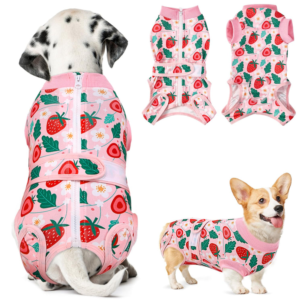 Nasjac Recovery Suit on dog back zipper showing easy wear and removal for recovery.
