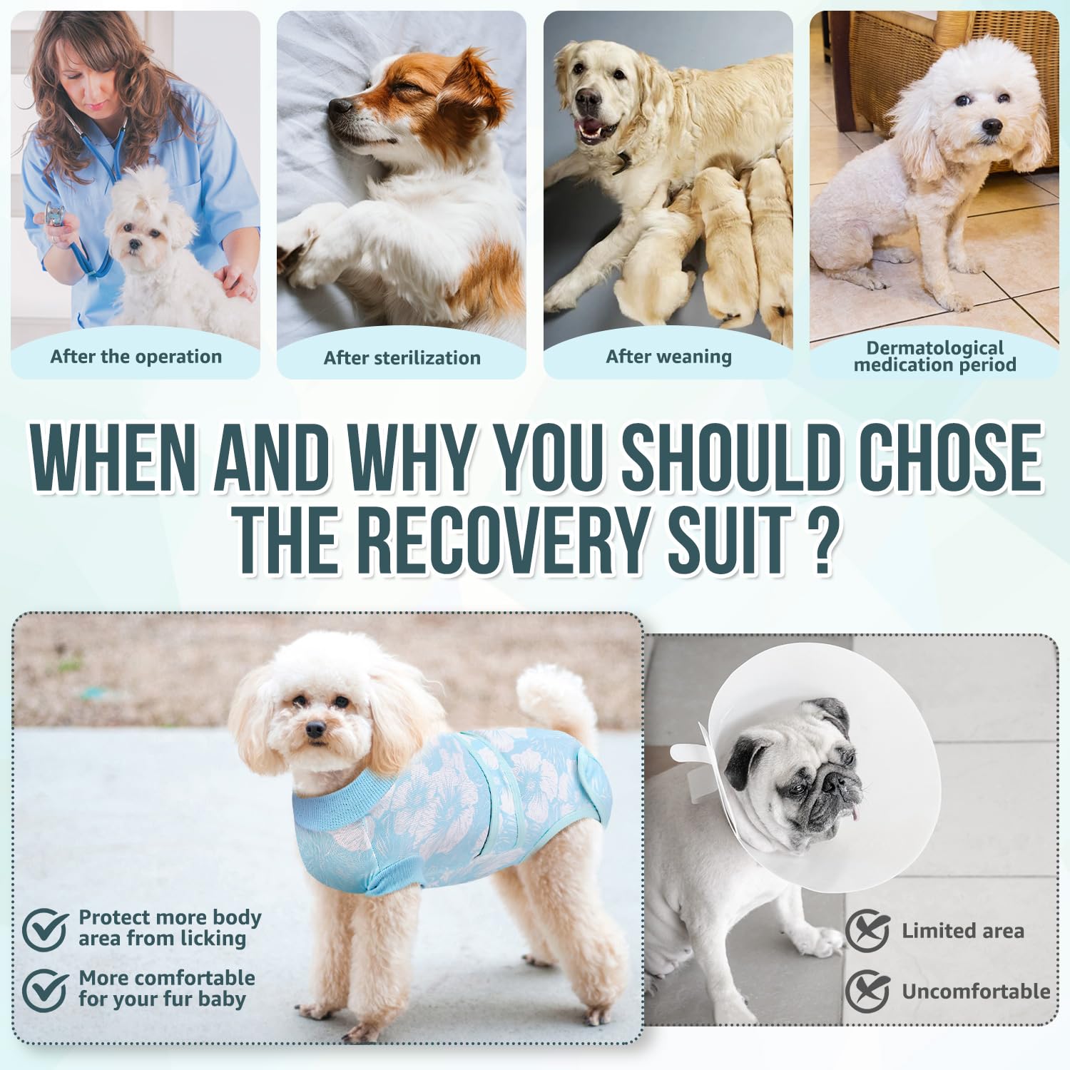 Nasjac Recovery Suit post-surgery wear supports daily pet care.