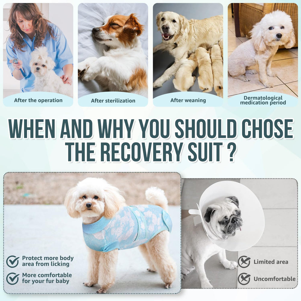 Nasjac Recovery Suit post-surgery wear supports daily pet care.