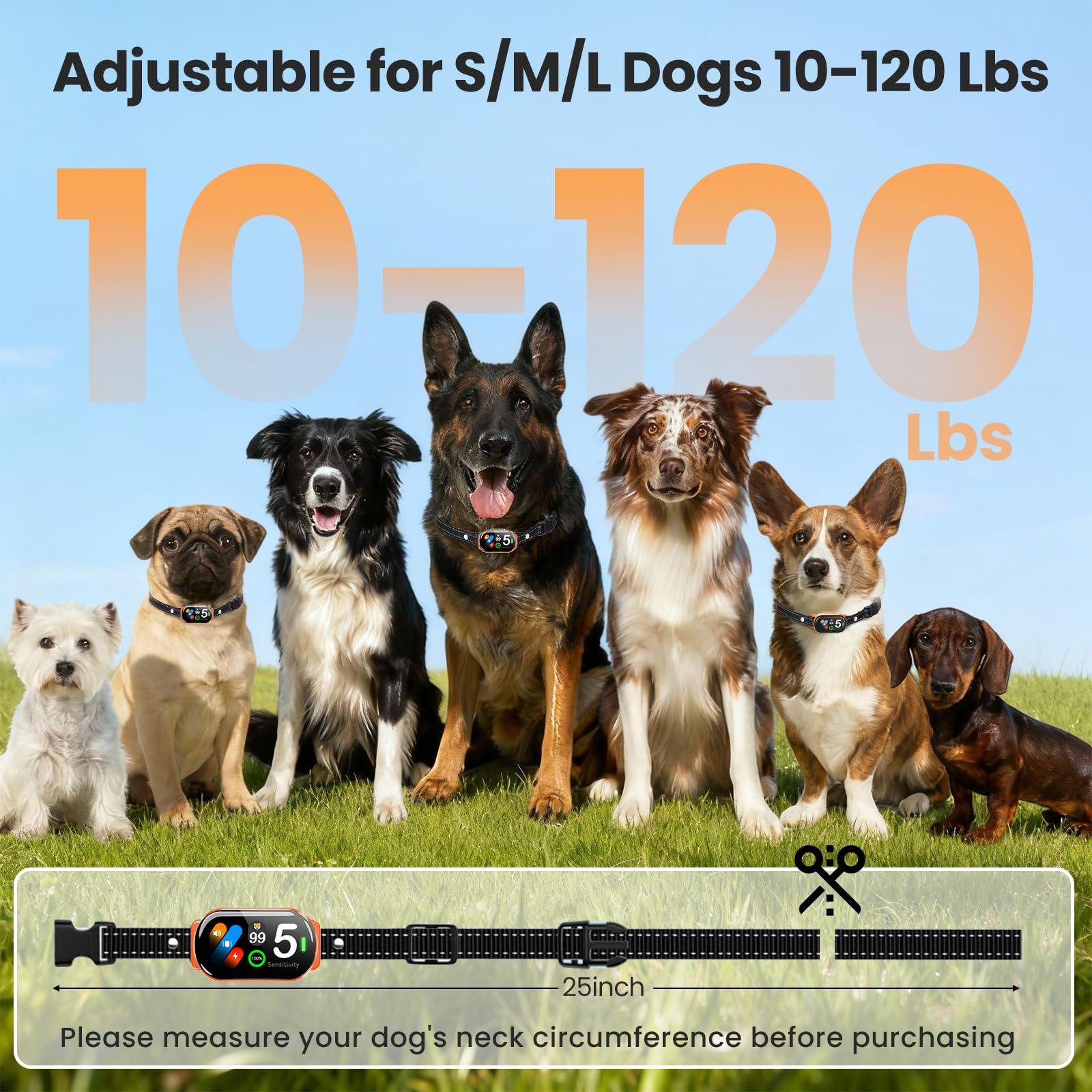 NATGOVOD lightweight strap on a medium-sized dog for everyday wear