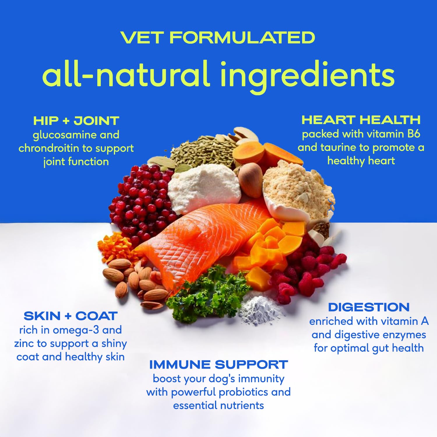 Native Pet 11-in-1 dog vitamins dry-powder texture highlights high-potency nutrition