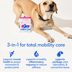 Native Pet Advanced Care dissolving-powder blends smoothly into food for easy administration