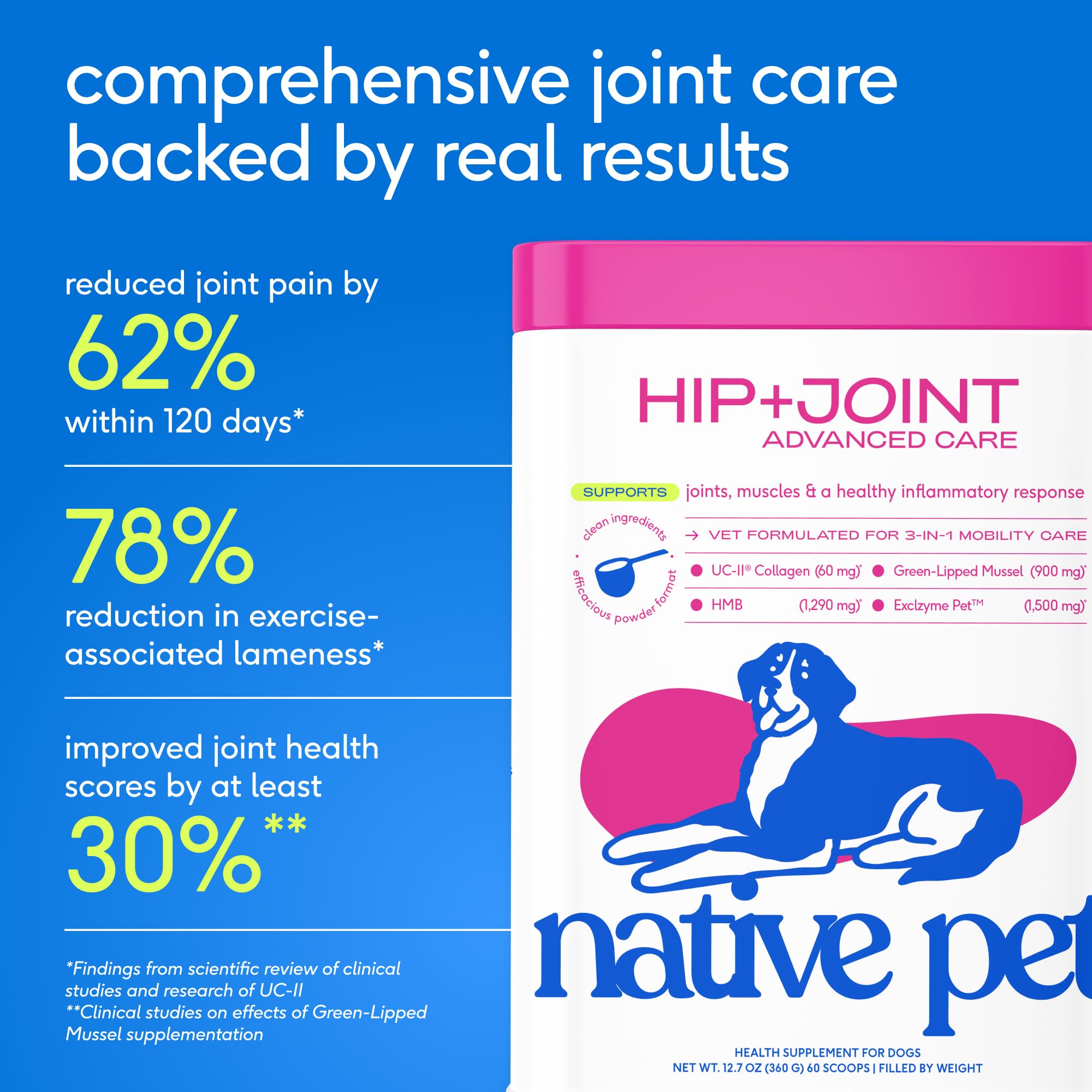 Native Pet Advanced Care senior dog resting comfortably after using supplement.