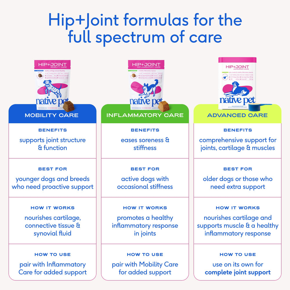 Native Pet Advanced Care ucII-collagen supporting connective tissue health