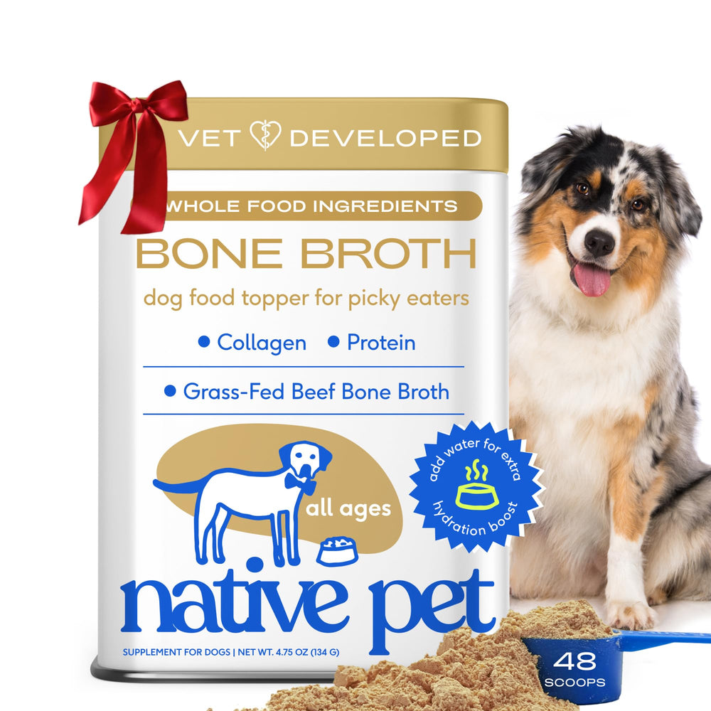 Native Pet bone broth dog jar — savory topper to entice picky eaters.