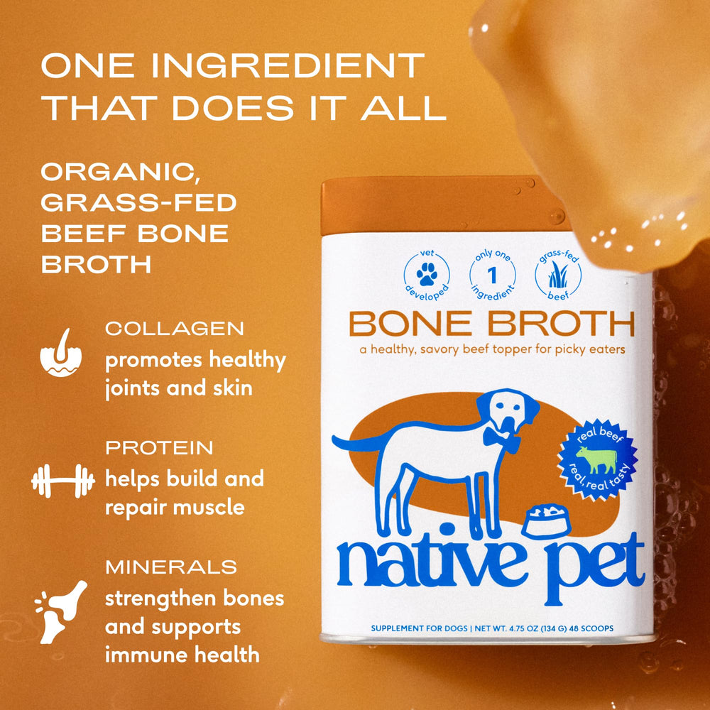 Native Pet bone broth kibble topper bowl — flavor boost at every meal.