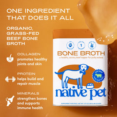 Native Pet bone broth kibble topper bowl — flavor boost at every meal.
