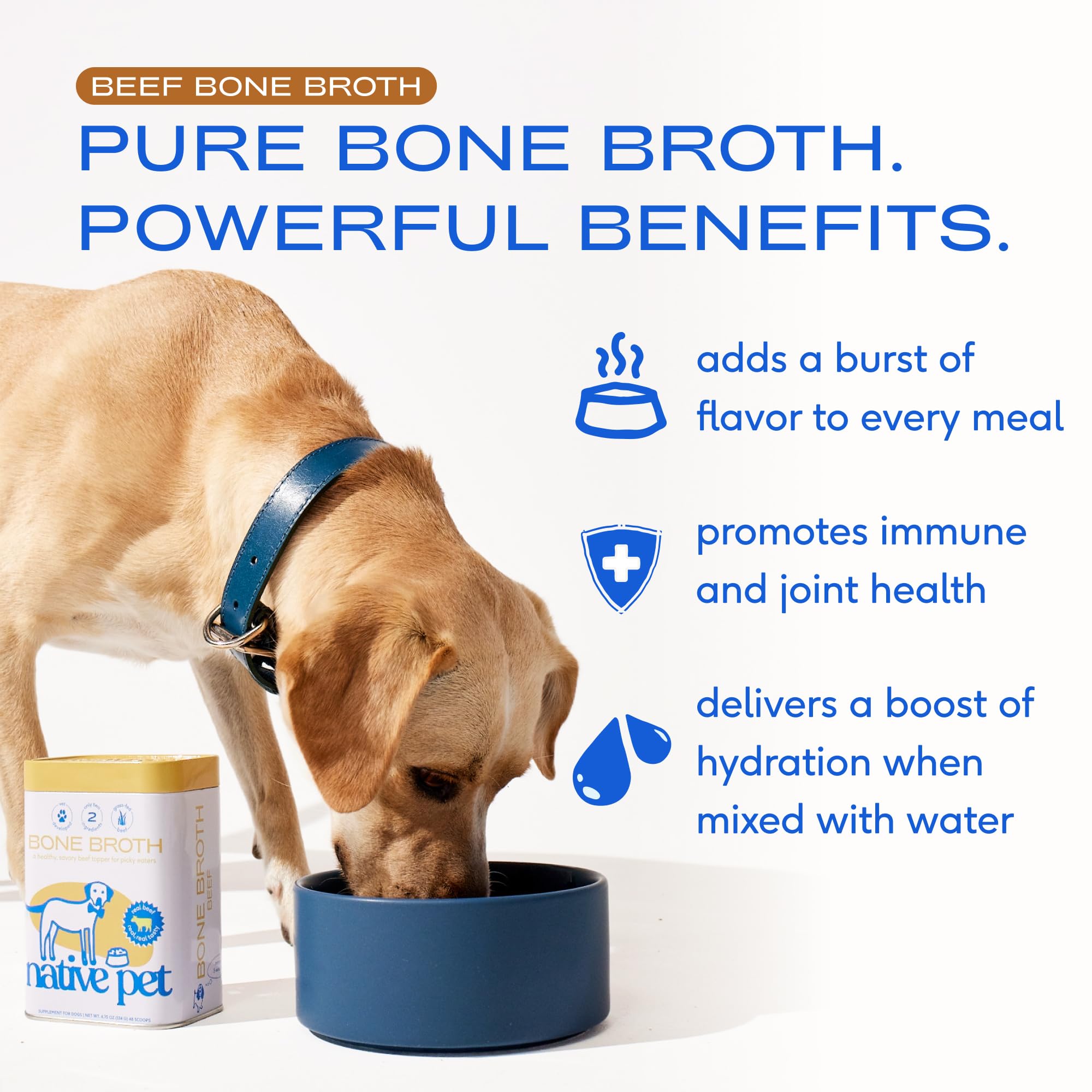 Native Pet bone broth pour over kibble demonstrates tasty topper for picky eaters.