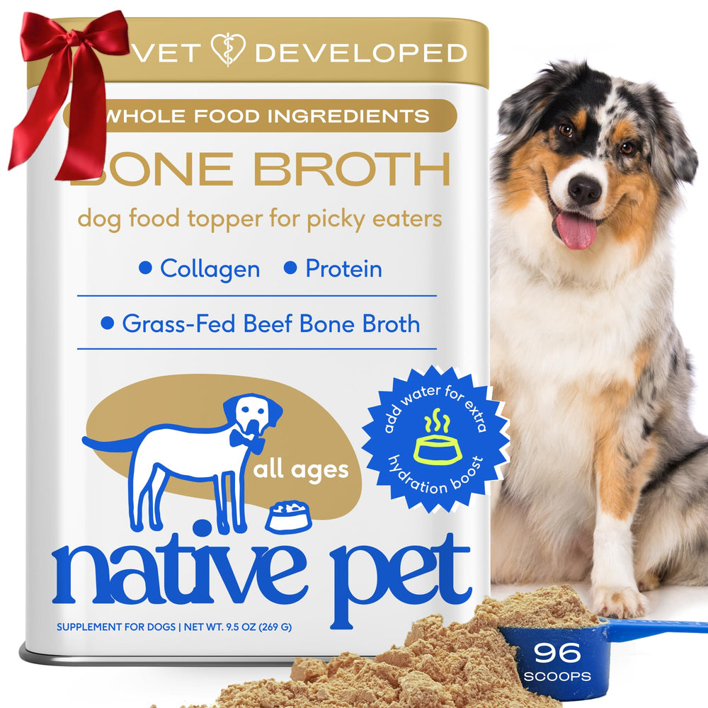 Native Pet bone broth powder closeup highlighting flavor boost and collagen for joints.
