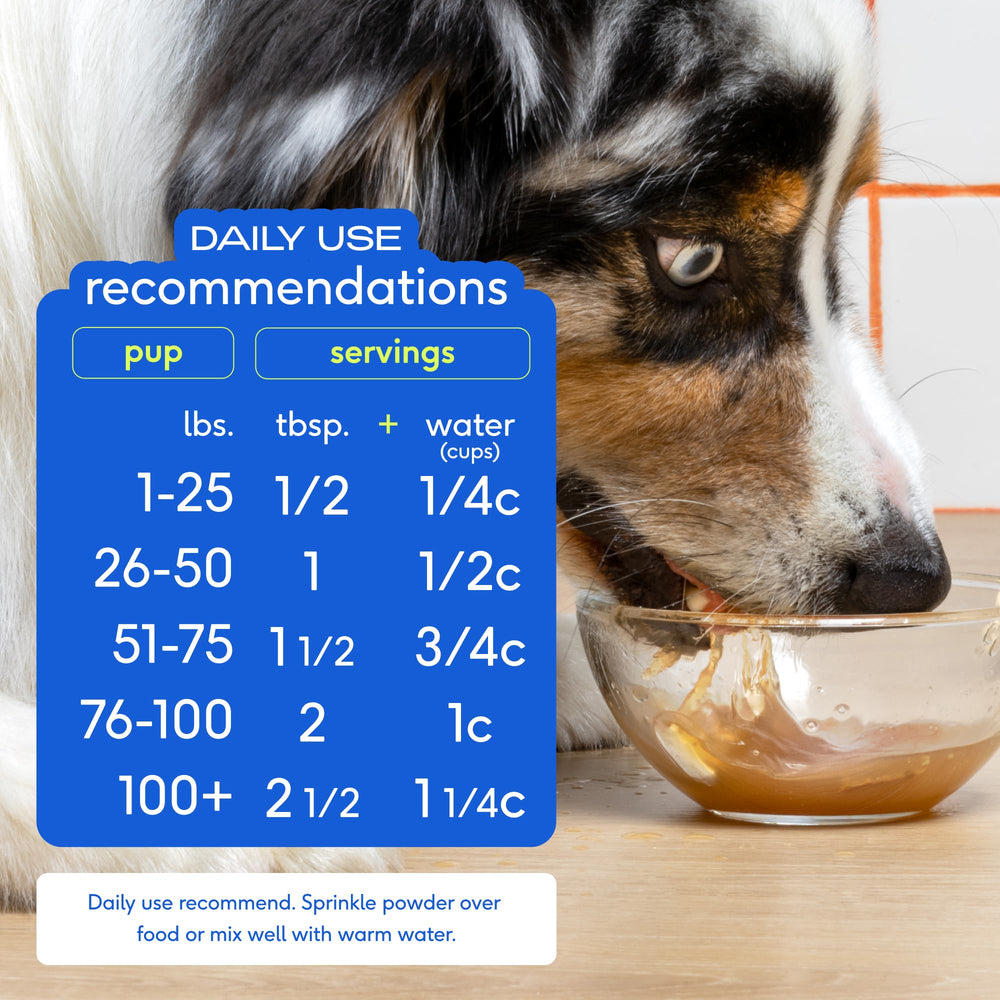 Native Pet bone broth powder aids gentle digestion and gut comfort.