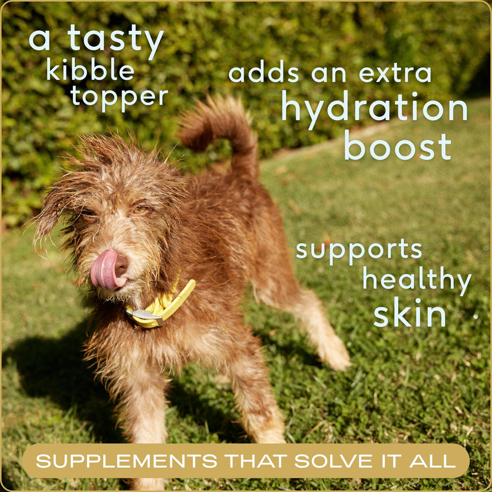 Native Pet bone broth powder topper enhances kibble flavor for picky eaters.