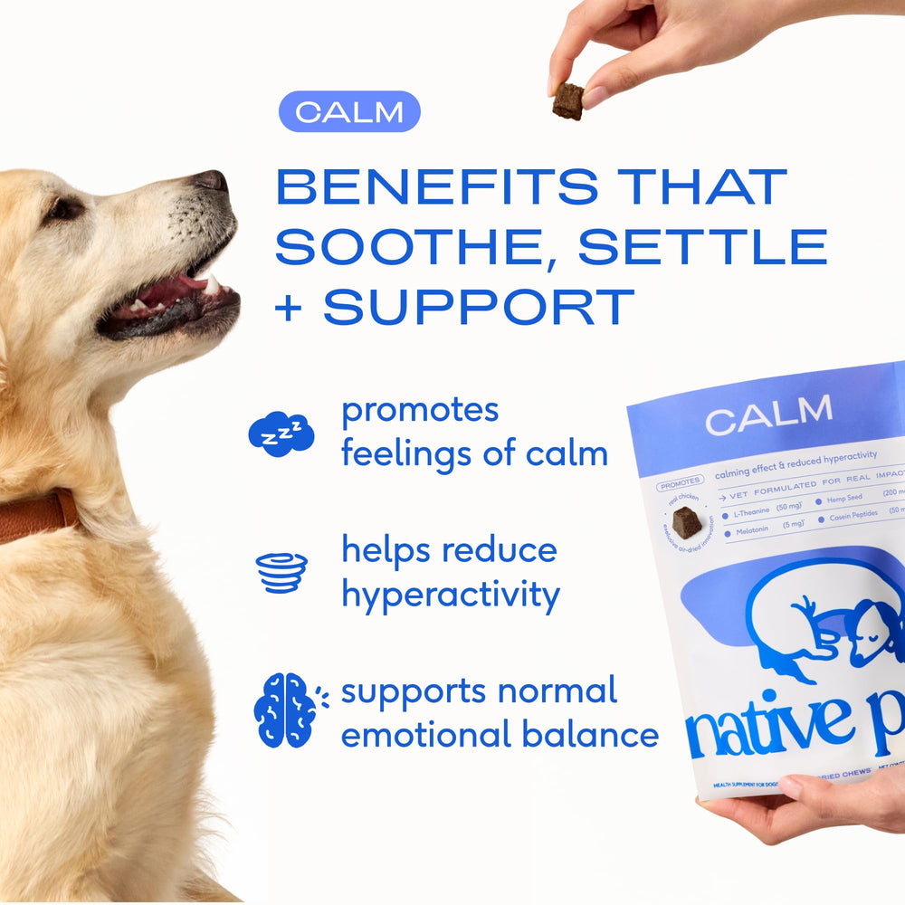 Native Pet calming chews hemp-L-Theanine blend: dog focused and calm during downtime.