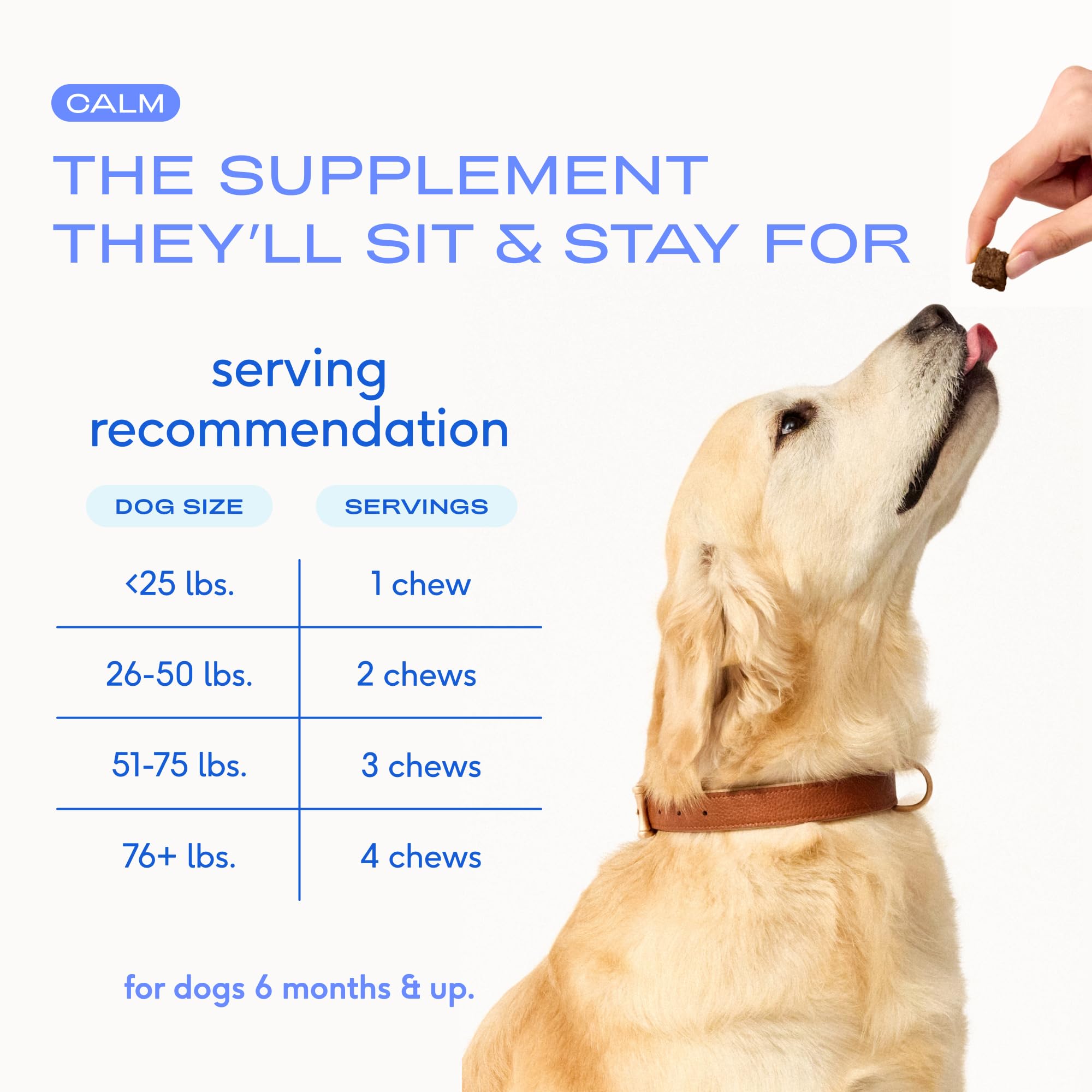 Native Pet real chicken flavor: dog happily enjoys calming chews.
