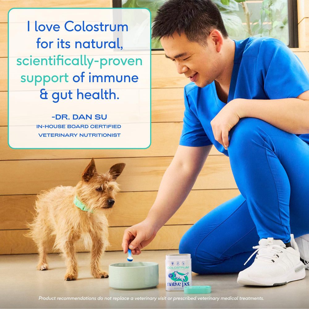 Native Pet Colostrum puppy-milk replacement demonstrates gentle growing-pup nutrition.