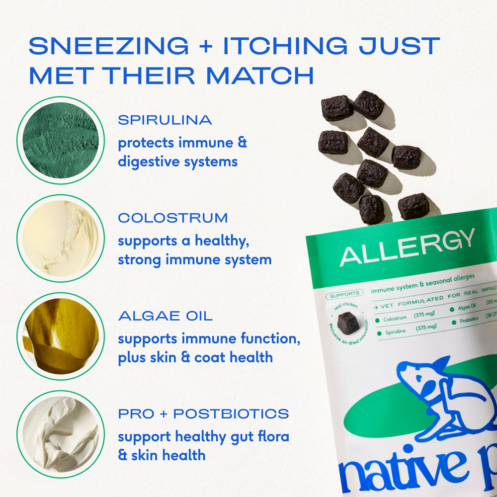 Native Pet Dog Allergy Chews air-dried process close-up shows minimal processing