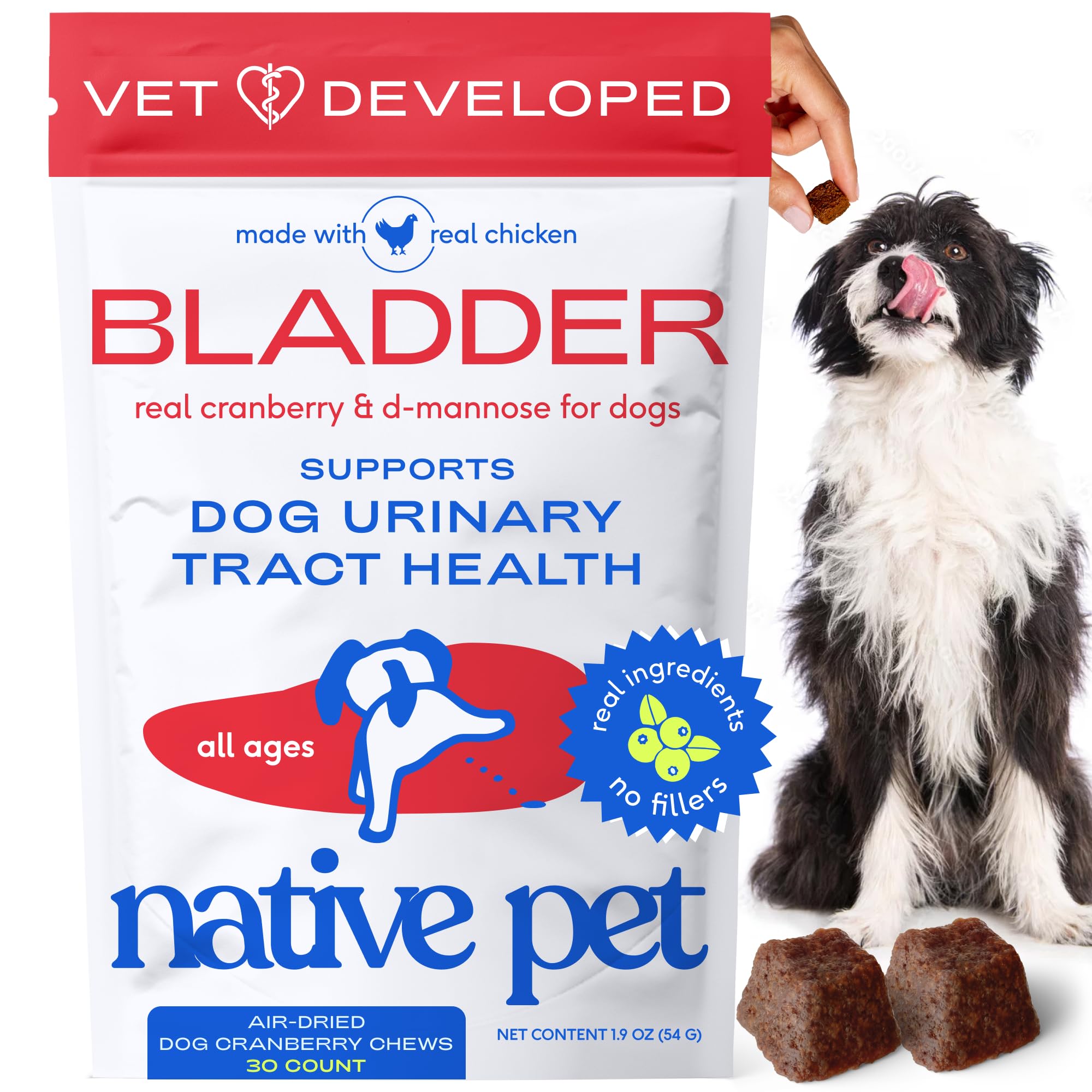 Native Pet UTI treatment cranberry chews packaging showing urinary health support