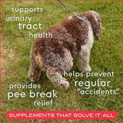 Native Pet UTI Treatment cranberry extract close-up highlights natural urinary health ingredients.