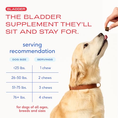 Native Pet Dog UTI Treatment highlighting D-Mannose and probiotics
