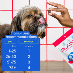 Native Pet Made in the USA label signals trusted quality for urinary care.