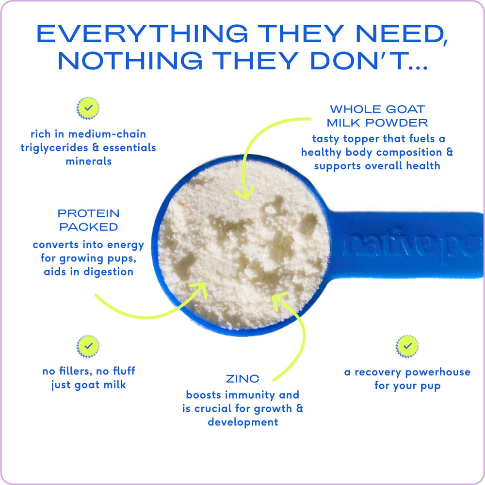 Native Pet goat milk powder topper on food enhances flavor and nutrition.