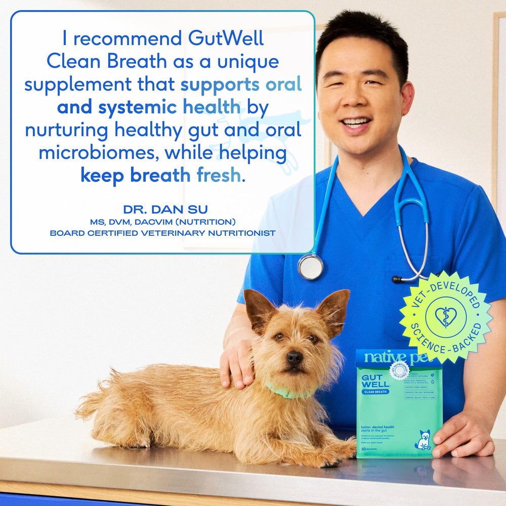 Native Pet GutWell brown algae and zinc ingredients on label
